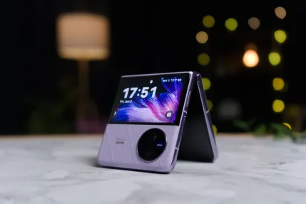 Casino Jungle Raja Mobiele App